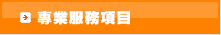 專案服務項目